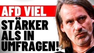 💥 PRECHT RUTSCHT ES HERAUS! 💥