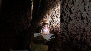 Прогулка в лесу #Azone #AzoneDoll #Sera #shorts #doll