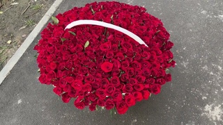 301 роза - В сладком плену - REFLEX FLOWER