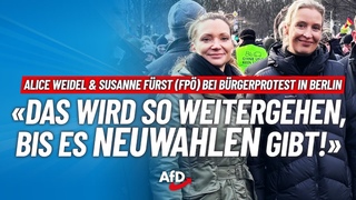 Das hrt nicht auf, bis wir Neuwahlen haben!