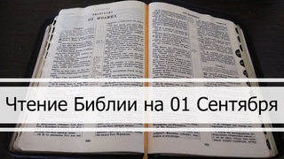 Чтение Библии на 01 Сентября: Псалом 62, Евангелие от Марка 12, Книга Осии 4, 5