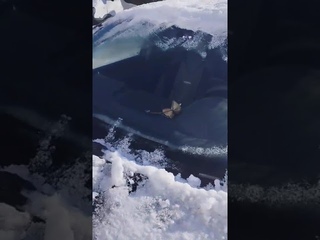 VID 20240221 WA0055