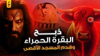 قصة البقرة الحمراء عند اليهود وعلاقتها به
