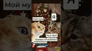 New Year celebration. Встреча Нового года без оливье. #funnycatsvideos