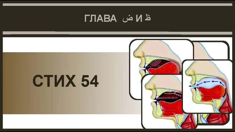 Айман Сувейд. 5. Стих 54 (русские