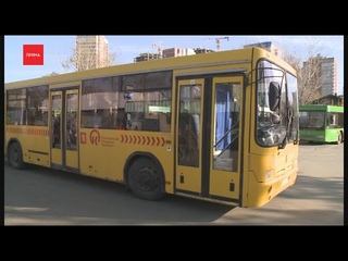 Чиновники снова провели рейд по общественному транспорту