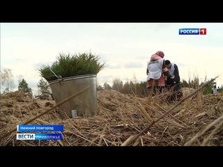 Вести-Приволжье - главные новости региона. Выпуск 25 октября 2021 года, 09:00