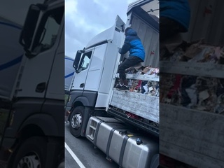 Зайцы Приехали на грузовике в Россию