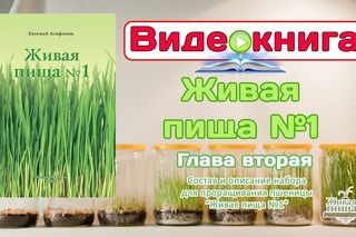 Видео-книга “Живая пища “1“. Часть 3. Глава вторая.