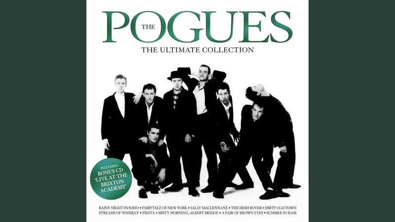The Irish Rover (feat. The
