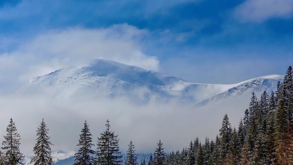Winter melody of Carpathian