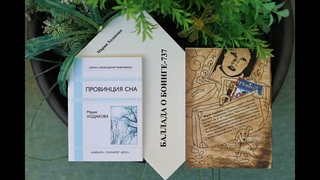 Город в Голландии. Мария Ходакова. Стихи и песни.