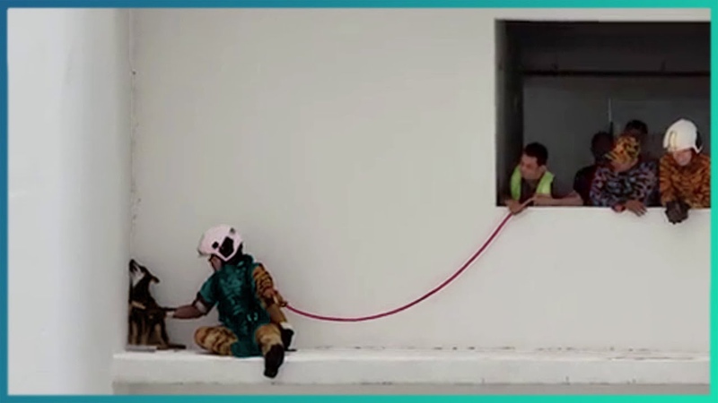 Random Acts of Kindness That Will Make You