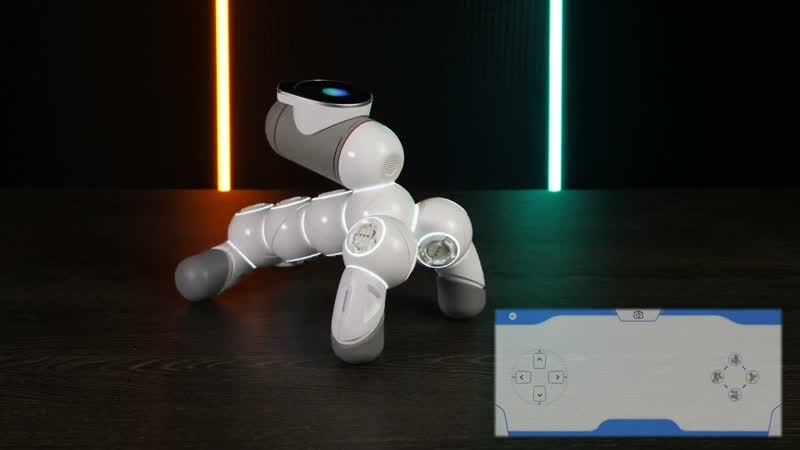 Clic Bot