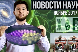Трансгенная кожа, тревожный секс, экзоскелеты и  спиральная галактика: новости на QWERTY