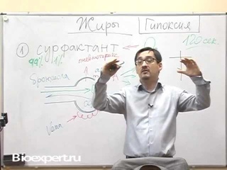 Гипоксия и обезжиренная диета