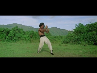 Пьяный мастер /Тренировка/ Стиль 8 пьяных богов.  Drunken master Training. Legendary style