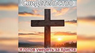Аудиокнига : Оружия воинствования нашего не плотские.Отношение христиан к войне. Часть 15