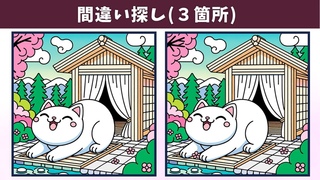 【間違い探し】イラストを楽しみながら気軽に脳トレ！記憶力や認知力を高める頭の体操で老化予防！【クイズ】