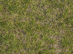 PBR Grass Mixed 4