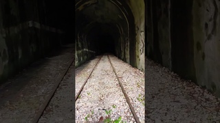 Bunker Opera 6 - 8 Sassotagliato introvabili #urbexitalia #urbex #bunker #shorts