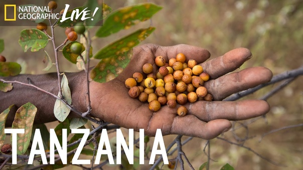 We Are What We Eat: Tanzania, Nat Geo