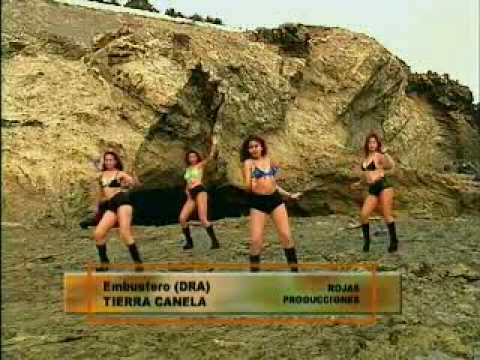 Tierra canela Tonto Amor, Embustero, Mi