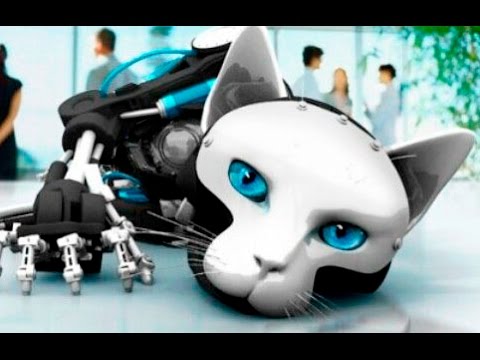 10 самых крутых роботов