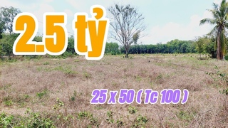 t Du Ting | Gng li ht ni ri anh em  25 x 50 ( tc 100)#557
