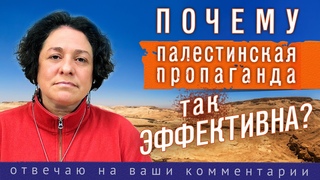 Почему ПАЛЕСТИНСКАЯ ПРОПАГАНДА так ЭФФЕКТИВНА? Отвечаю на ваши комментарии