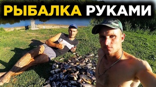 НАЛОВИЛИ РУКАМИ МНОГО - КАРАСЯ ТЬМА! РЫБАЛКА В УКРАИНЕ