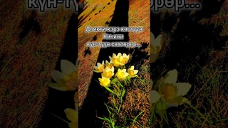 Дьикти кэрэ кстн киини кн-тн схтрр...