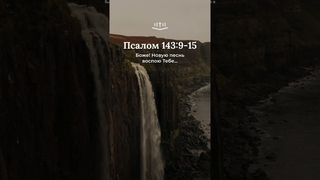 Псалом 143:9-15 современный перевод Библии #shorts