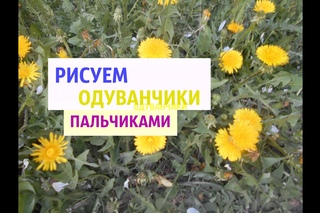 Рисуем одуванчики пальчиками