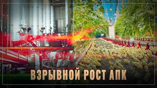 Взрывной рост: российский АПК бьёт все рекорды, 15 новых предприятий за март! ОБЗОР