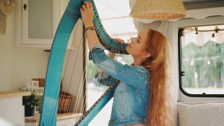 Видео от ProninaHarp. Арфа как стиль жизни.