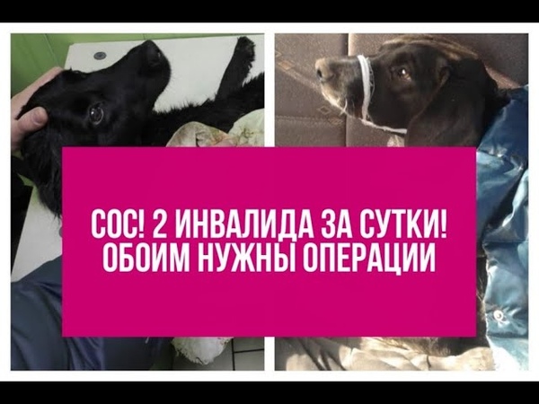 Сос 2 ИНВАЛИДА ЗА СУТКИ ЕДЕМ В КЛИНИКУ