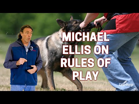 Michael Ellis on Rules of