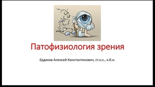 А.К. Ердяков - Патофизиология зрения и сетчатки