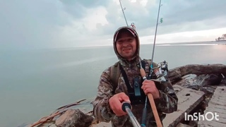 Без труда, не вытащить и рыбку из пруда🎣😕