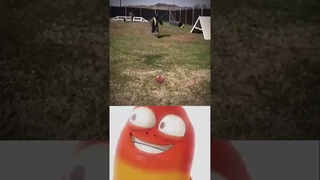 Ei Ei Ei #funny #viral #memes #meme #fail  #funny #explore #foryou #fyp #foryoupage #music #dog #pet