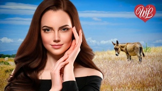 ВЕДЬМА И ОСЕЛ  ЛЕГЕНДЫ РУССКОГО  РОКА WLV НЕТ ПОПСЫ - ТОЛЬКО ХИТЫ  RUSSIAN MUSIC HITS WLV