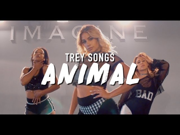 Trey Songz, Animal, Brinn Nicole