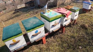 Весенние работы на пасеке/Утепления и сокращения пчел.
