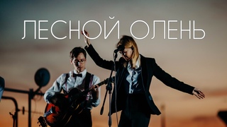 Анна Ворфоломеева  Лесной олень