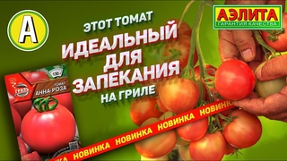 БЫСТРО СОЗРЕВАЕТ – Сорт Томата Анна Роза