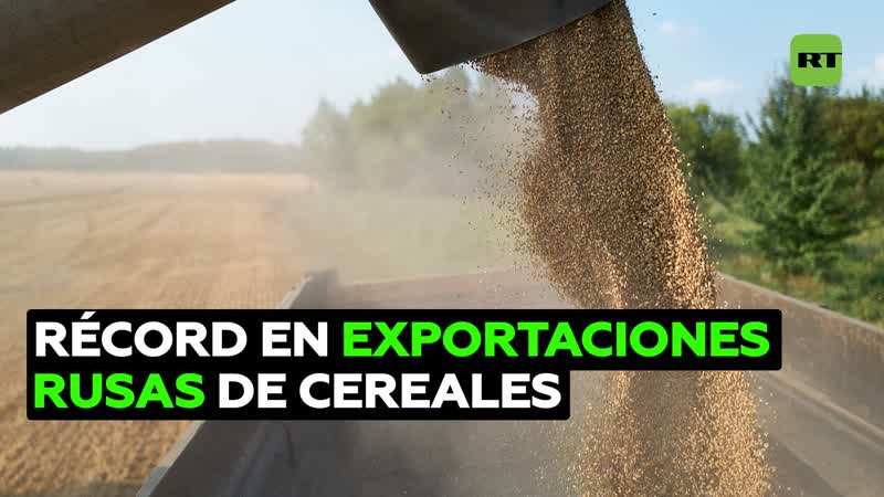 Exportaciones de cereales rusos alcanzan un récord histórico con los envíos a 100 países del