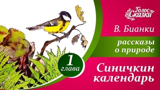 Виталий Бианки - Синичкин календарь - “Январь“  |  Рассказы и сказки о природе для детей