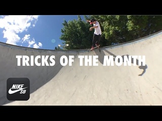 TRICKS OF THE MONTH - APRIL 16’ - NIKE SB APP