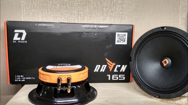 Raven 165 громкие и бюджетные воронята от DL